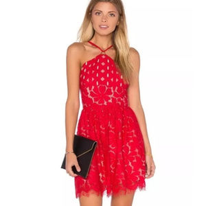 Stylestalker Gorgeous Cassia Circle Dress WIld Fig